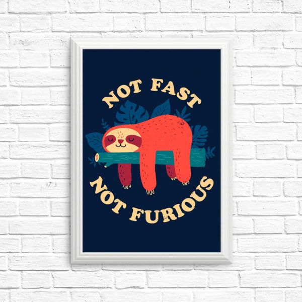 Not Fast, Not Furious - Posters & Prints Online Sale - Image 5